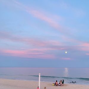 Meet your Posher, Eleanor